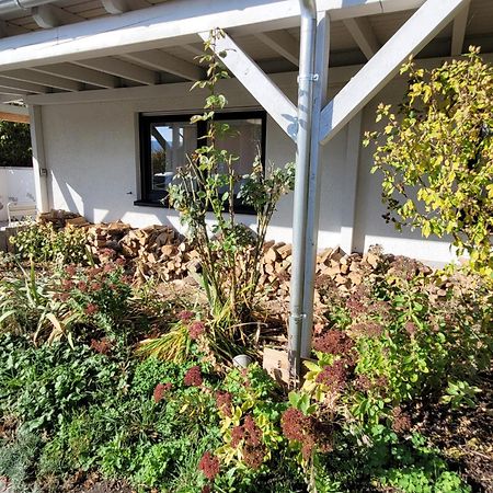 Ferienwohnung Im Himmelreich Jena Exterior foto
